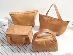 Tyvek insulated bag