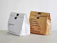 Tyvek insulated bag