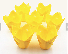 Cup Cake